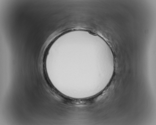 X0000113910199200910221340