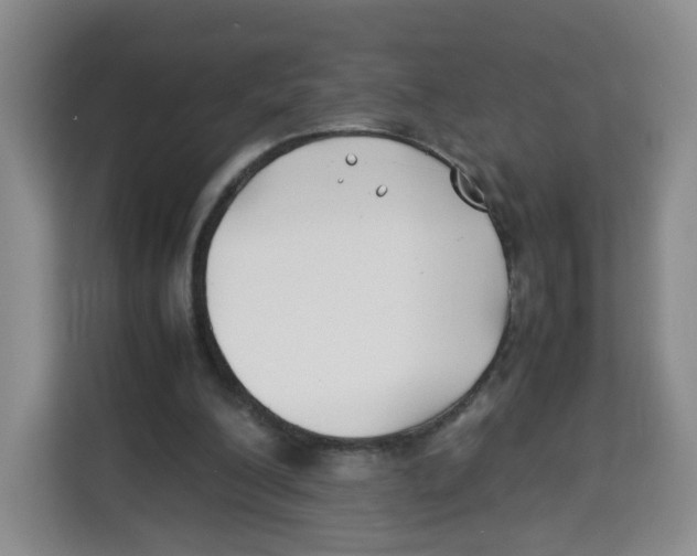 X0000113910200200910221340