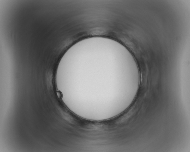 X0000113910201200910221340
