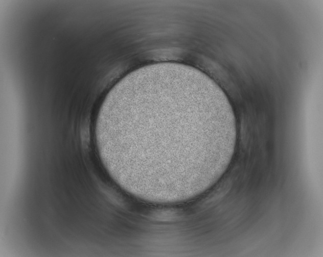 X0000113910202200910221340
