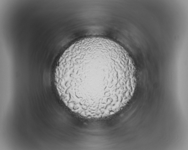 X0000113910203200910221340