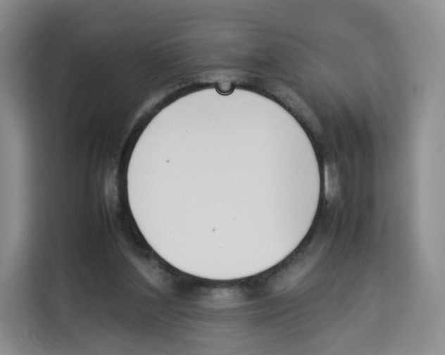X0000113910204200910221340