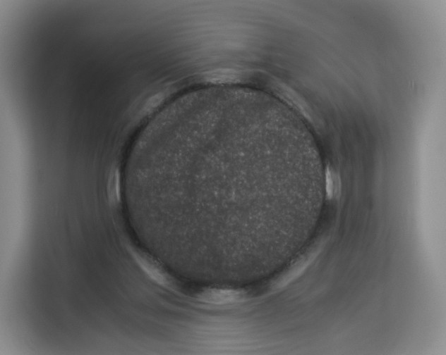 X0000113910205200910221340