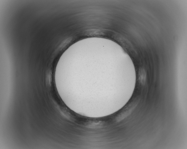 X0000113910206200910221340