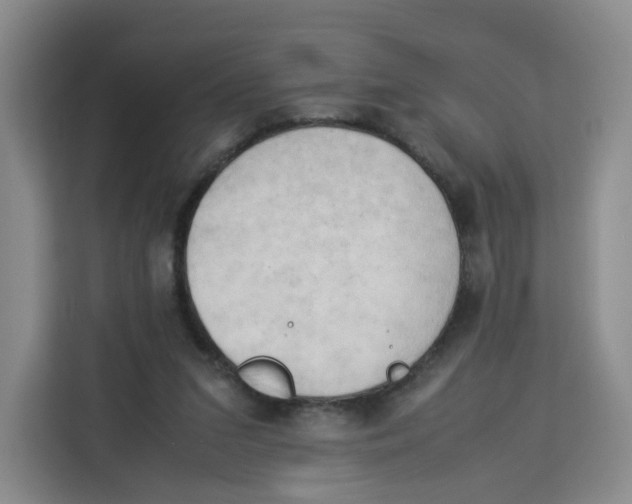 X0000113910207200910221340