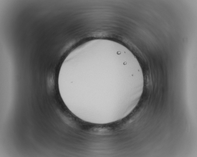 X0000113910208200910221340