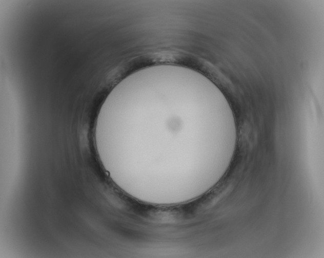 X0000113910209200910221340