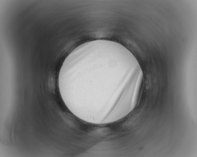 X0000113910210200910221340