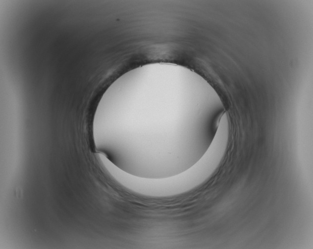 X0000113910211200910221340