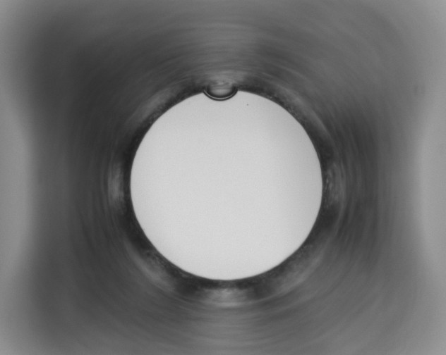X0000113910212200910221340