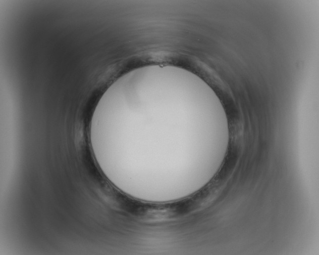 X0000113910213200910221340