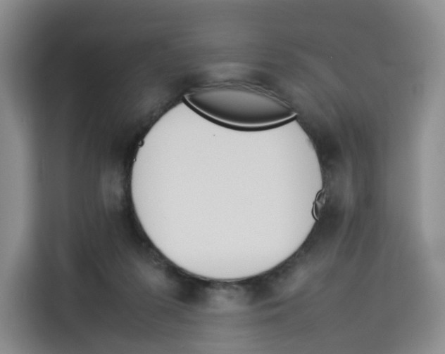 X0000113910215200910221340