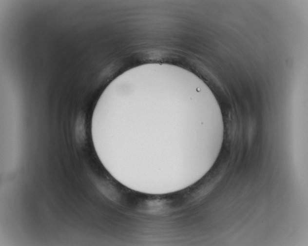X0000113910216200910221340