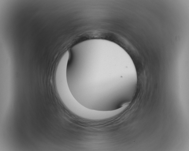 X0000113910217200910221340