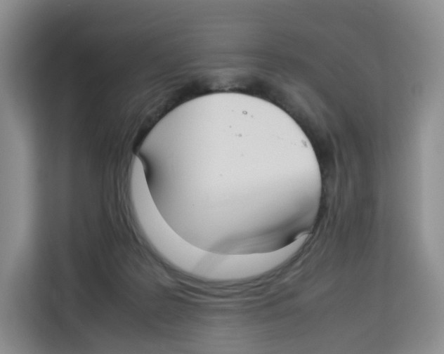 X0000113910219200910221340