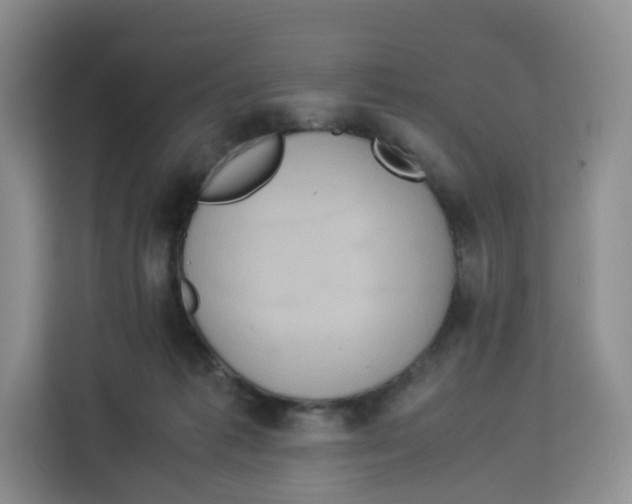 X0000113910221200910221340
