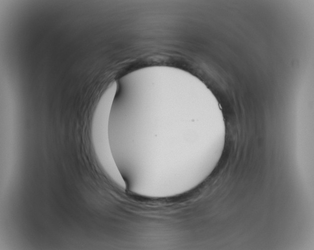 X0000113910223200910221340