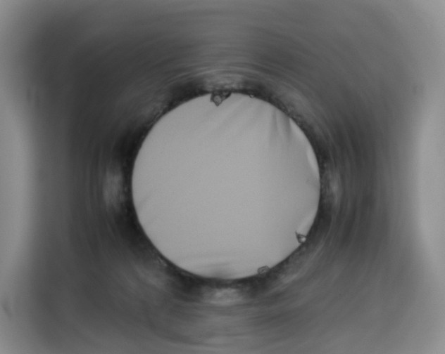 X0000113910224200910221340
