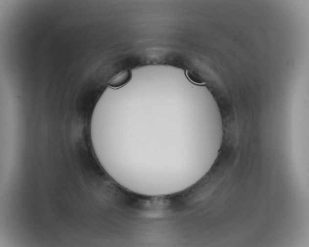 X0000113910225200910221340