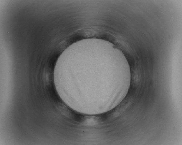 X0000113910226200910221340