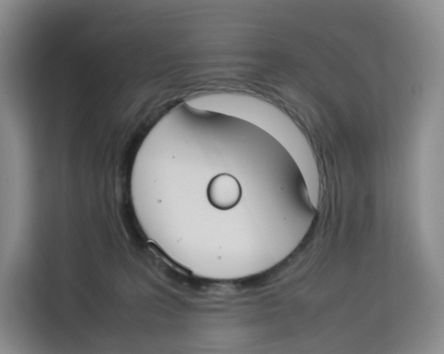 X0000113910227200910221340
