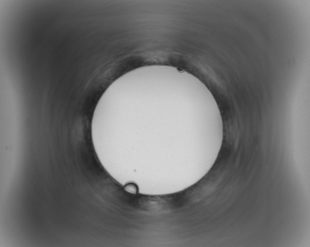 X0000113910229200910221340