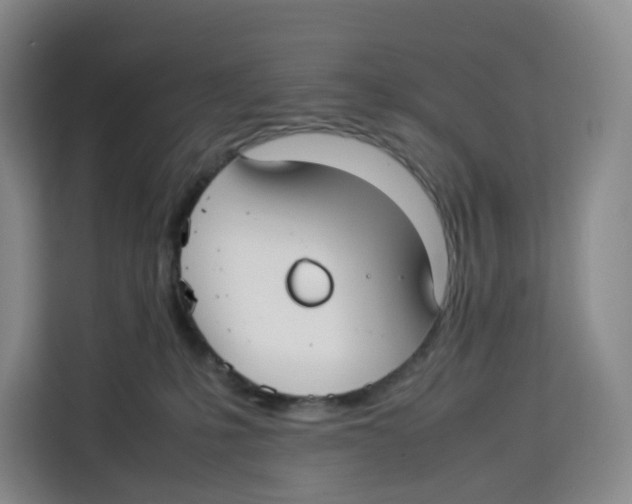 X0000113910231200910221340