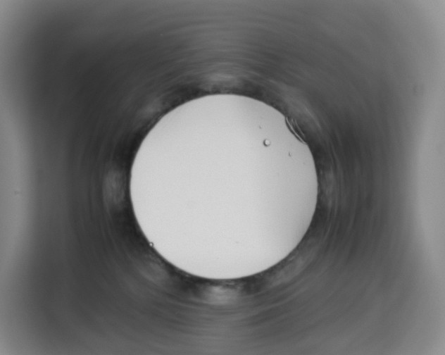 X0000113910232200910221340