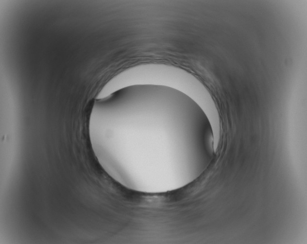 X0000113910233200910221340