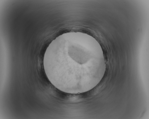 X0000113910235200910221340