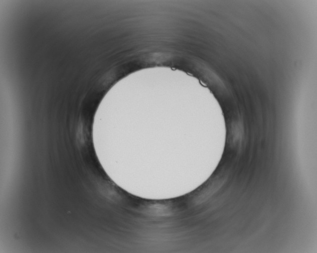 X0000113910236200910221340