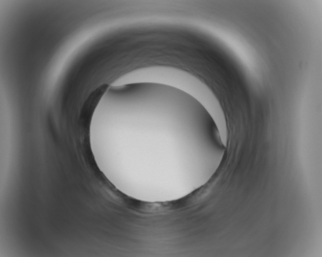 X0000113910239200910221340