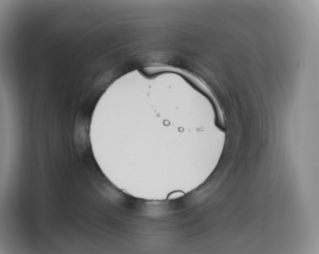X0000113910240200910221340