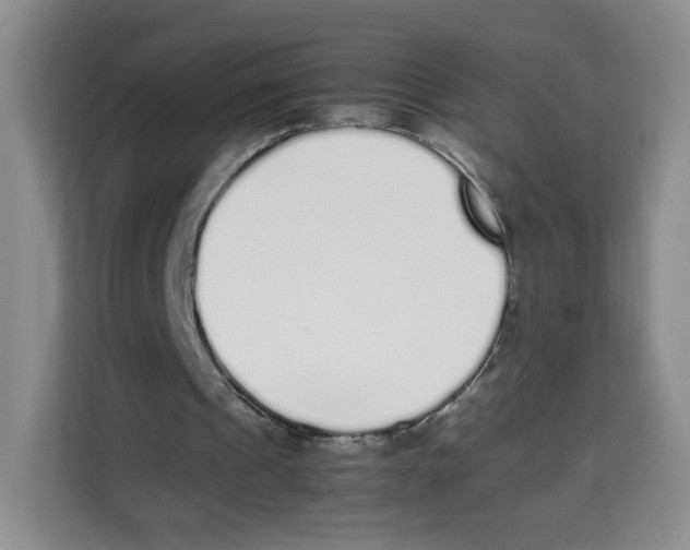 X0000113910241200910221339
