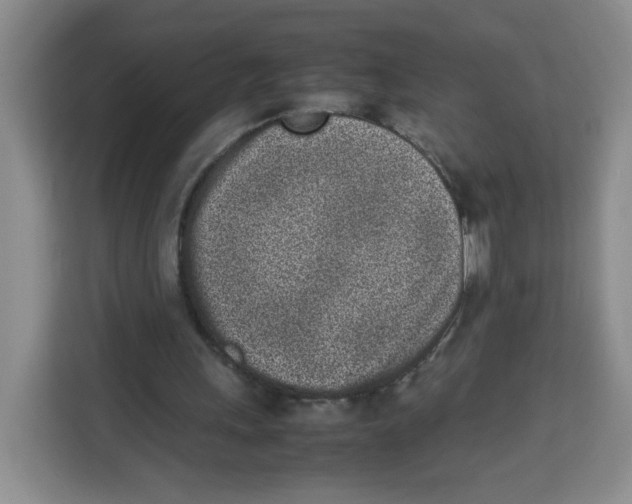 X0000113910243200910221339
