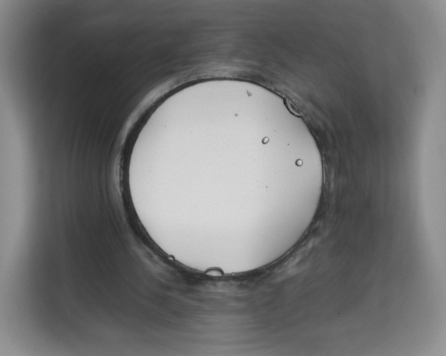 X0000113910244200910221339