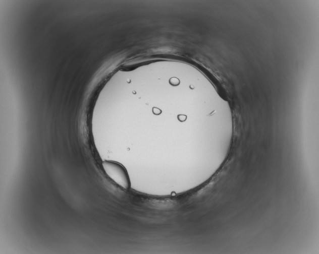 X0000113910245200910221339