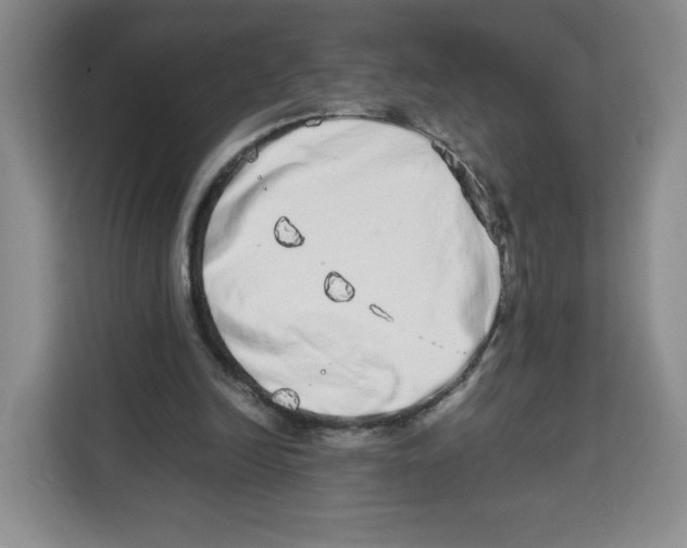 X0000113910246200910221339