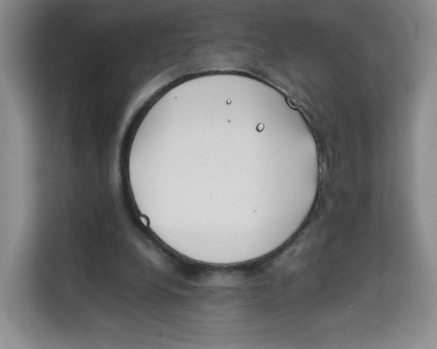 X0000113910248200910221339
