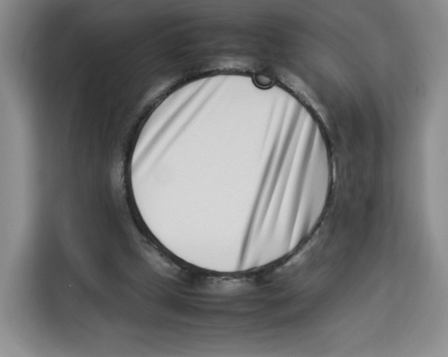 X0000113910249200910221339