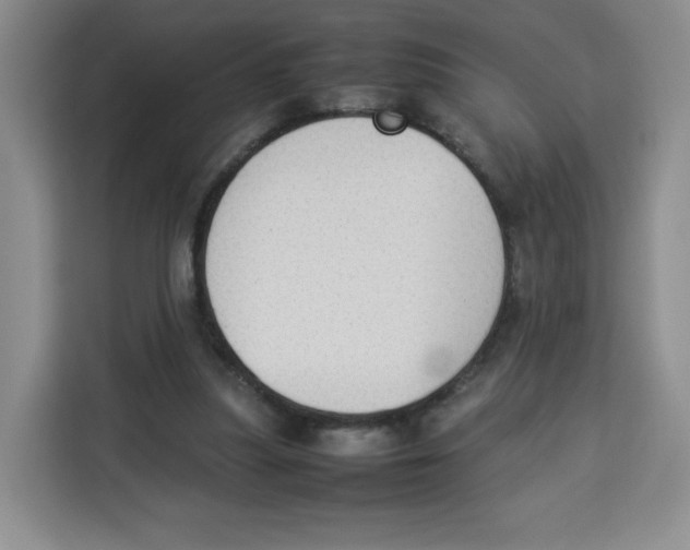 X0000113910251200910221339