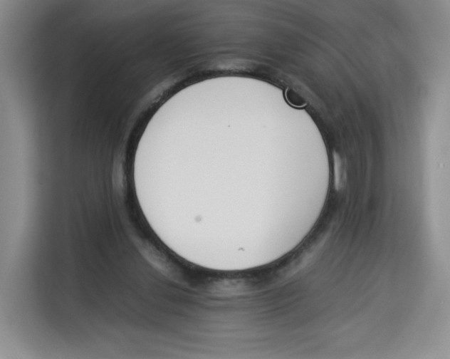 X0000113910252200910221339