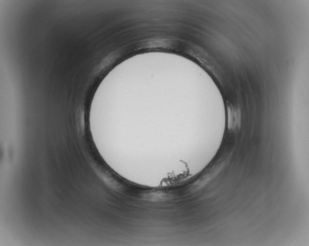 X0000113910253200910221339