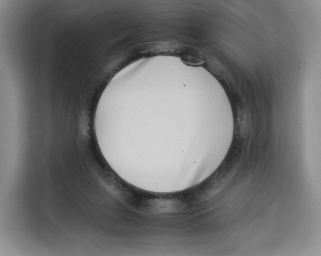 X0000113910255200910221339