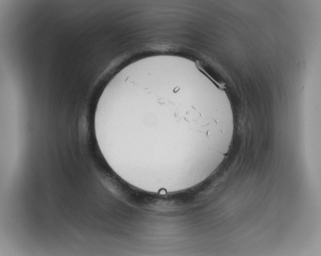 X0000113910256200910221339
