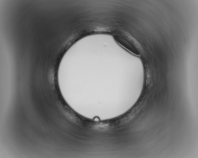 X0000113910257200910221339