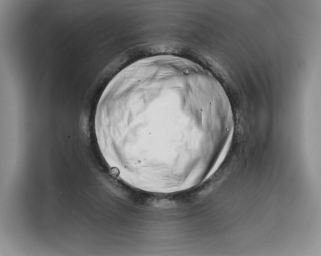 X0000113910258200910221339