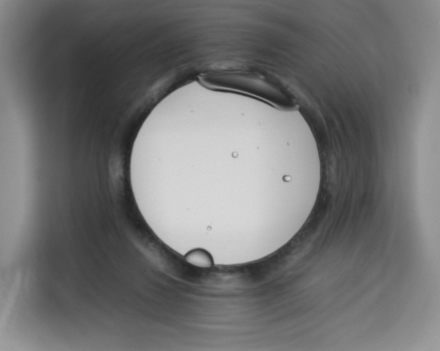 X0000113910260200910221339