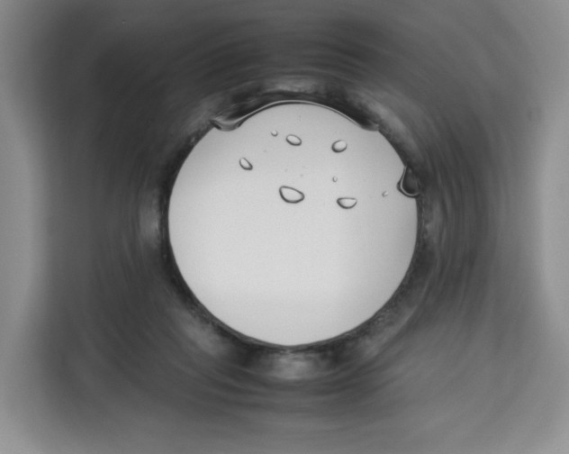 X0000113910261200910221339