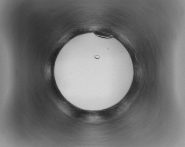 X0000113910262200910221339